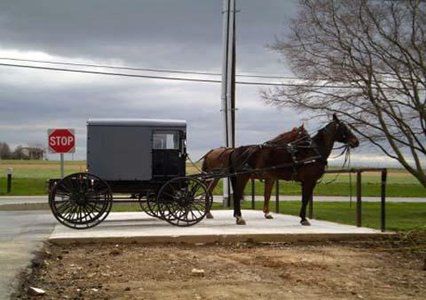 Inn Comfort Lancaster County 3*
